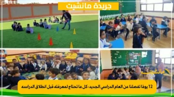 12 يومًا تفصلنا عن العام الدراسي الجديد كل ما تحتاج لمعرفته قبل انطلاق الدراسة 1